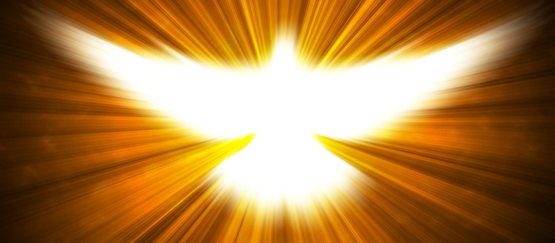 shining dove with rays on a dark golden background